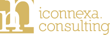 Iconnexa – Consultoría empresarial